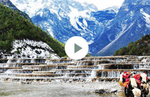 2017年致遠(yuǎn)科技團(tuán)建-云南之旅